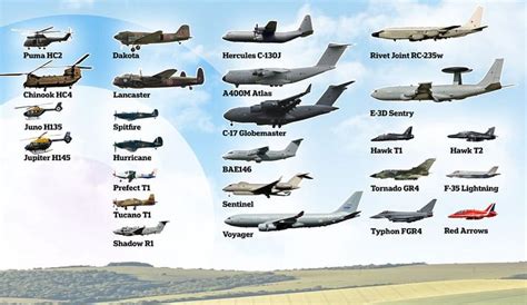 10+ Raf Transporters: A Comprehensive Look