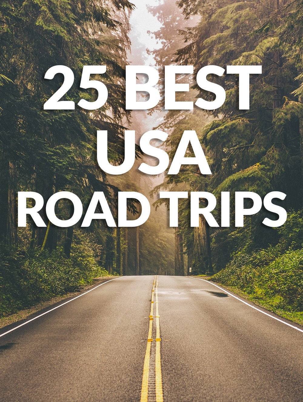 15 Of The Best Road Trips In Usa Road Trip Fun Road Trip