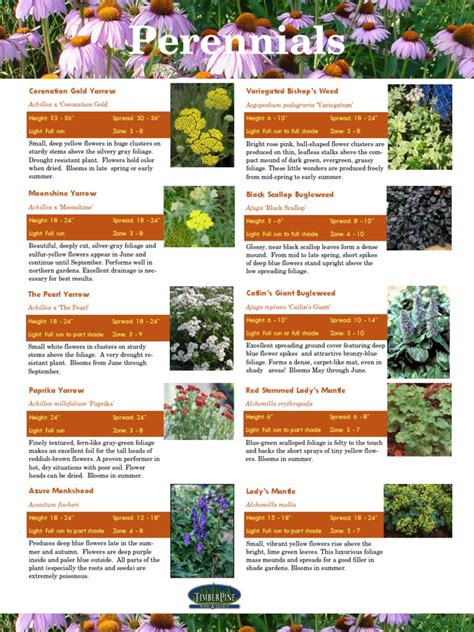 5 Ultimate Tips To Get Free Perennial Flower Catalogs Today