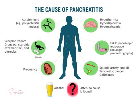 Acute Pancreatitis Treatment Management Point Of Care