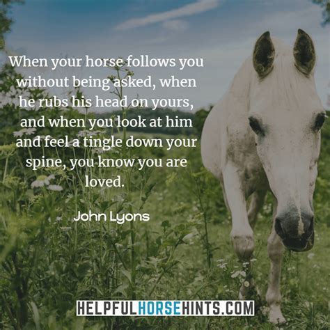 Get Back On The Horse And Ride Horse Quotes Horses Heart Quotes