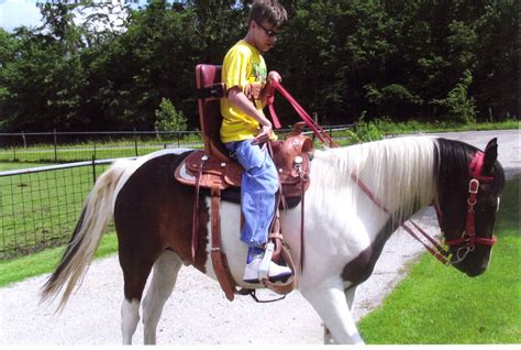 Grit Horse Saddles Horses Horse Therapy