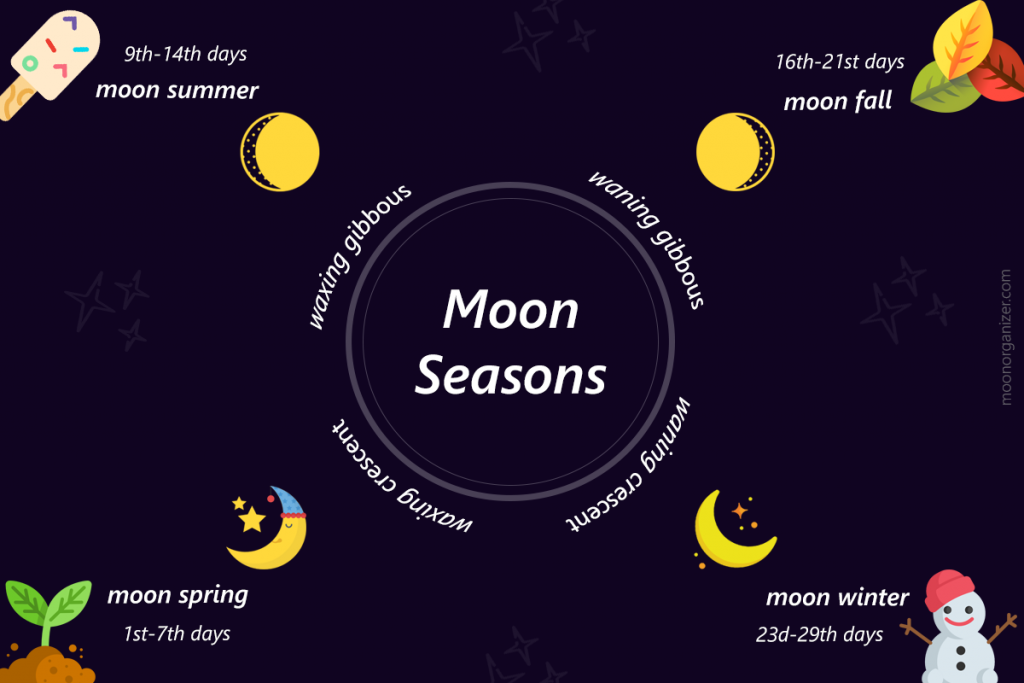 Infographic The Moon S Endless Dance Infographics Creator Moon