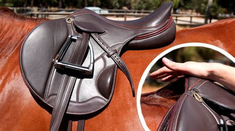 Saddle Fitting How To Choose The Correct Saddle For A Horse And Rider