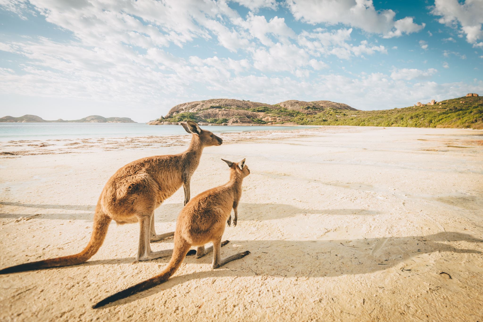 Sydney Byron Bay Road Trip Anna Sherchand